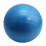 Yoga Ball Exercise Gymnastic Fitness Pilates Ball Balance Exercise Gym Fitness Yoga Core