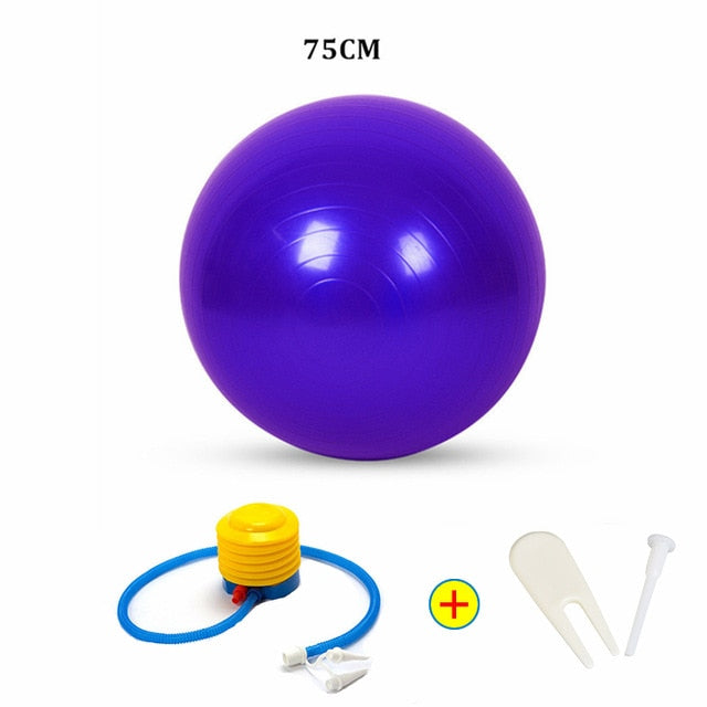 Sports Yoga Balls Bola Pilates Fitness Ball Gym Balance Fitball Exercise